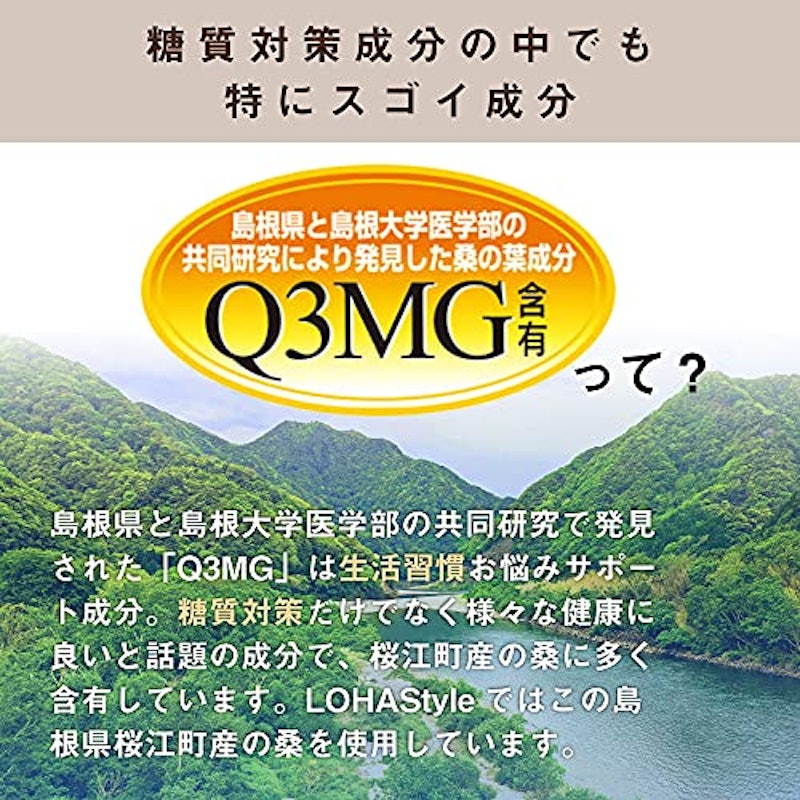 粉末桑茶 4
