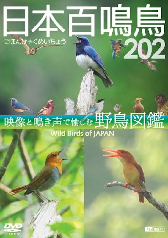 日本百鳴鳥 202 映像と鳴き声で愉しむ野鳥図鑑 1