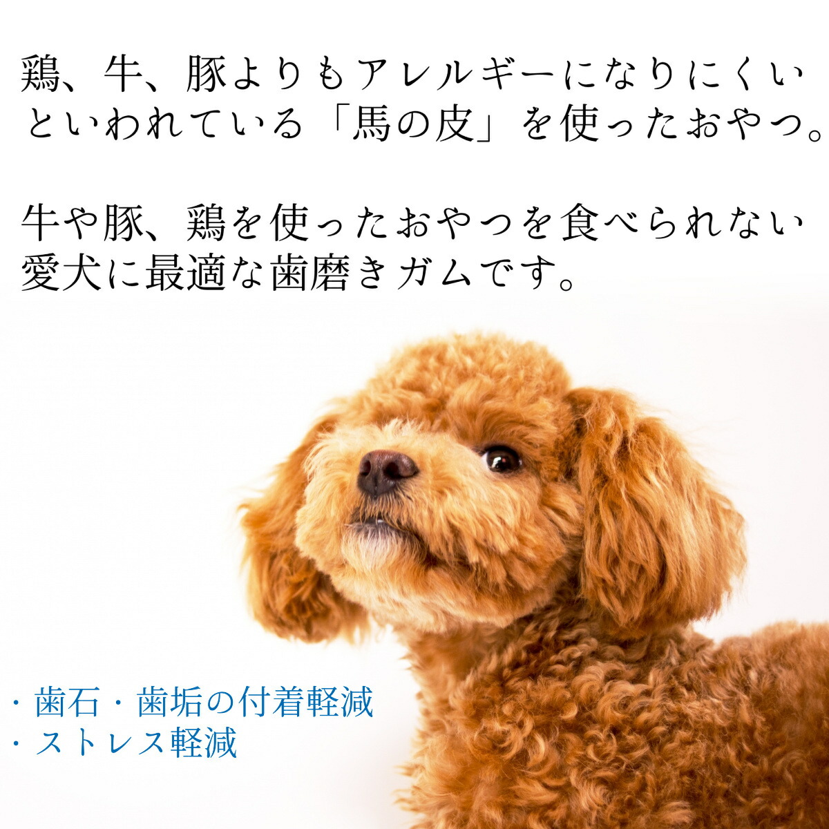 馬皮ガム 3