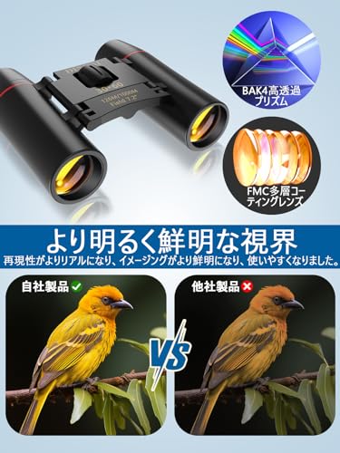 双眼鏡 3