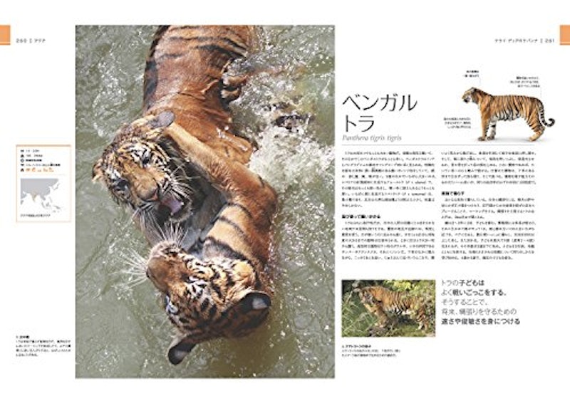 驚くべき世界の野生動物生態図鑑 8