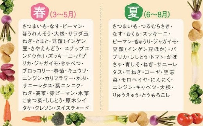 季節のお野菜詰め合わせセット 定期便 春夏秋冬年4回 3