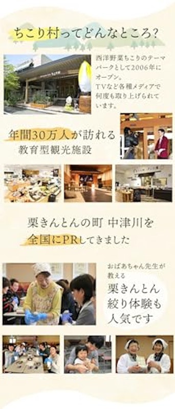 岐阜・中津川栗きんとん 6