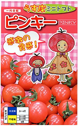 うす皮ミニトマト 1