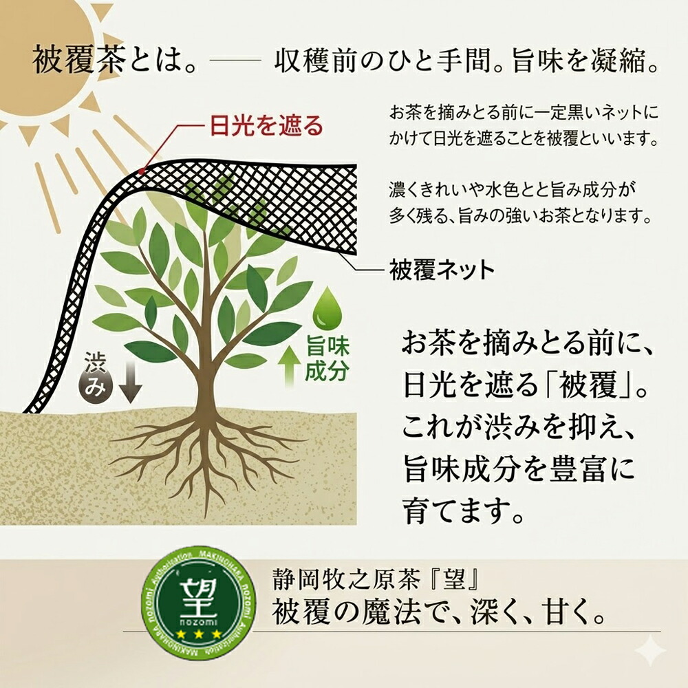 静岡牧之原産深蒸し茶 八十八夜よろこびギフトセット 3