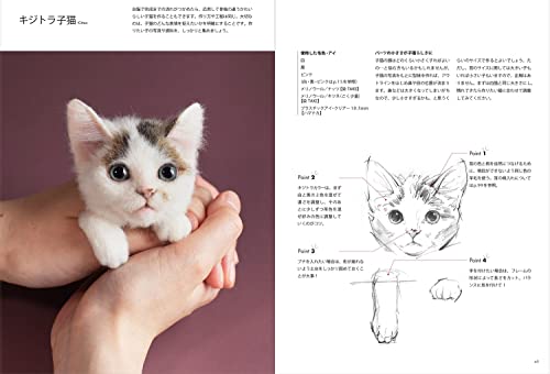 羊毛フェルトから生まれる猫の肖像 「わくねこ」の作り方 11
