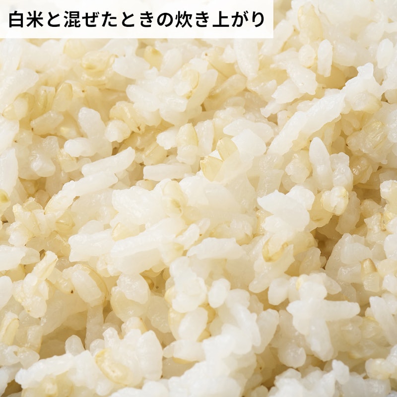 発芽玄米 7