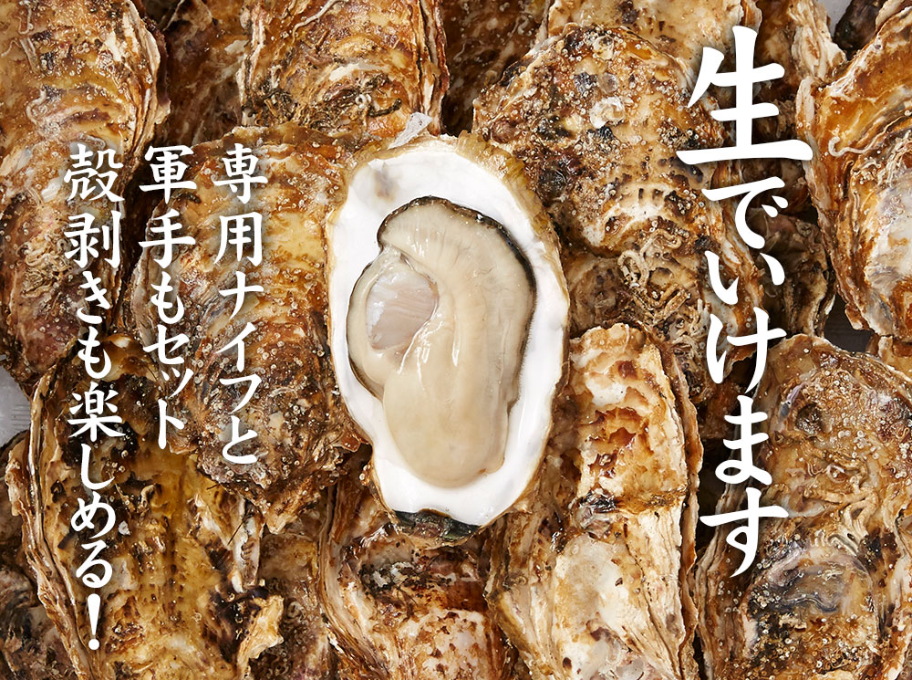訳あり・数量限定 生食用殻付き牡蠣  3