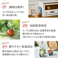 ベジMOTTOスープ6個ギフトセット 2