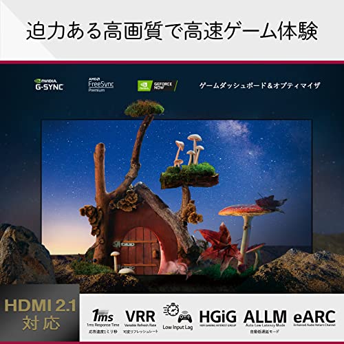 65V型 4K有機ELテレビ 5