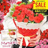 母の日向けカーネーションのおすすめ人気ランキング【人気の品種は?2026年】 3