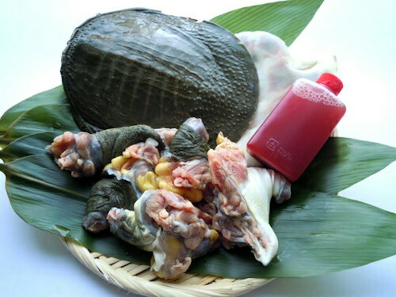 島原産すっぽん鍋セット 1