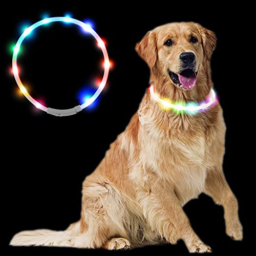 犬用光る首輪 1