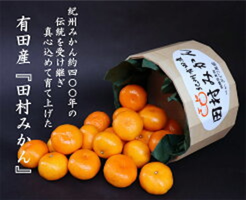 和歌山産田村みかん 2