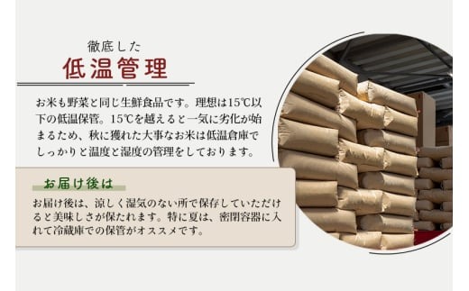 定期便12ヶ月 秋田県産あきたこまち5kg 無洗米 5