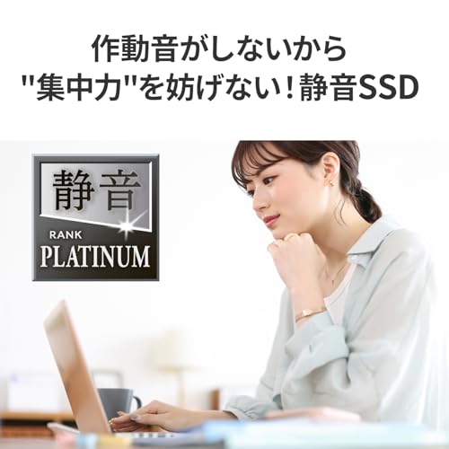 スティックSSD 3