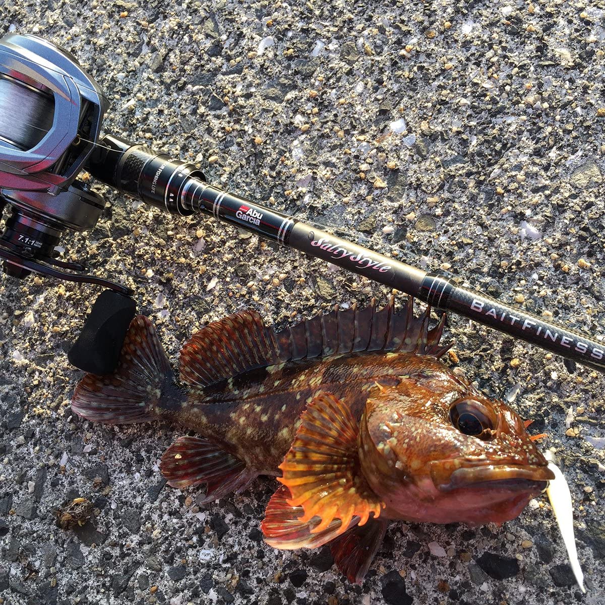 21年 ベイトフィネスロッドのおすすめ人気ランキング21選 Mybest