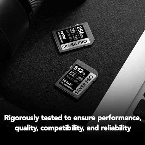 Professional SILVER PRO SDXC UHS-II Card 7
