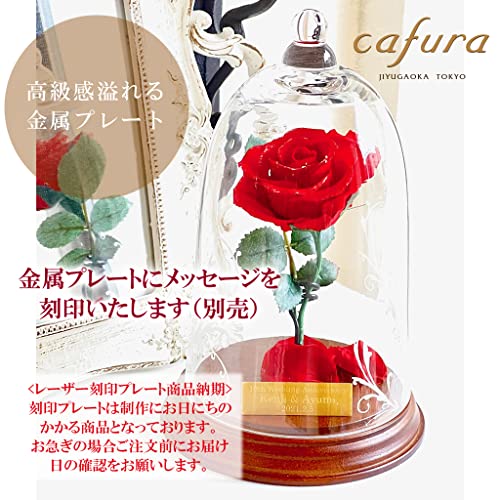cafura プリザーブドフラワー 5