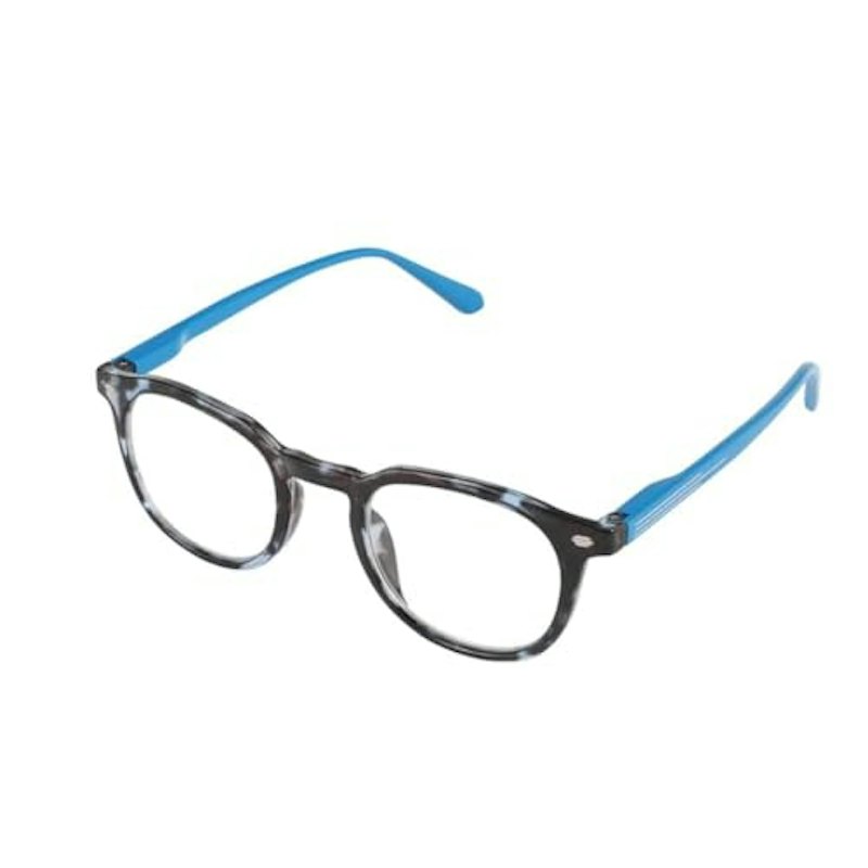 READING GLASSES 1