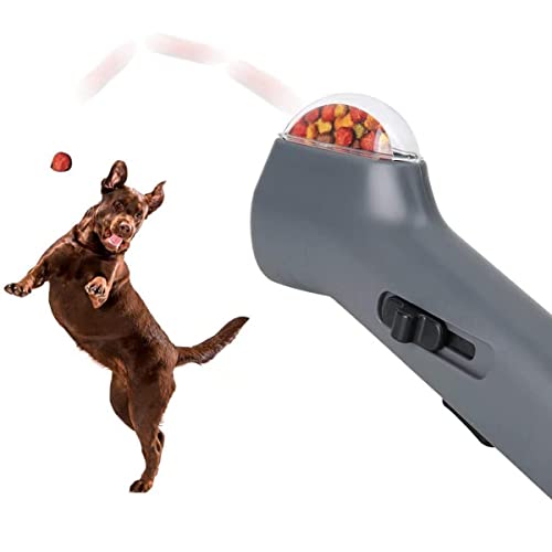 犬用おもちゃ 1