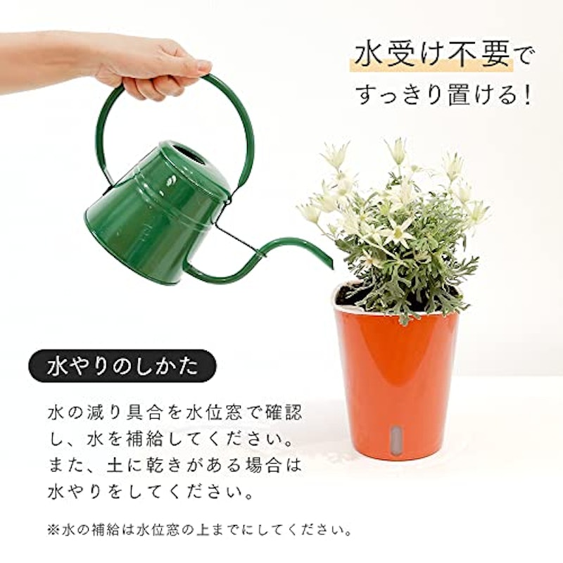 プランター 5