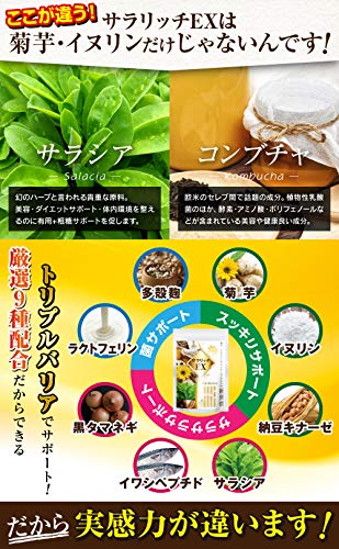サラリッチEX 5