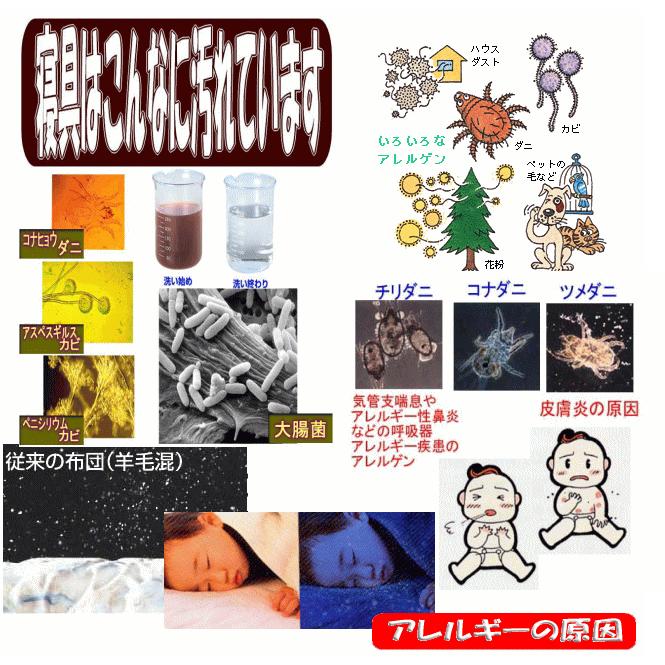 病院で使われているジュニア肌布団 2