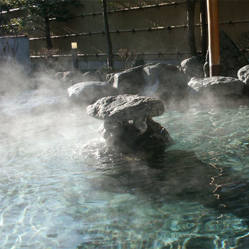 秩父湯元 武甲温泉 武甲の湯 別館 1