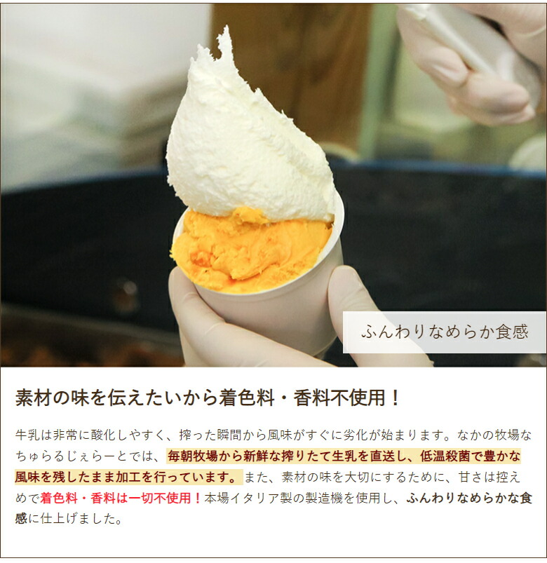 季節限定ジェラート 5