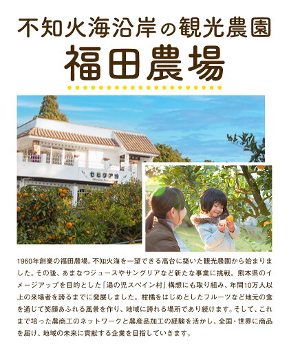 飲み比べ　九州まるごとしぼり4種 ジュース 3