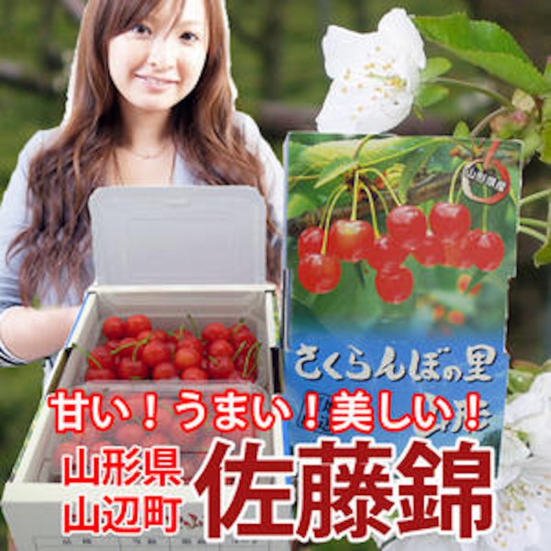 さくらんぼ 2