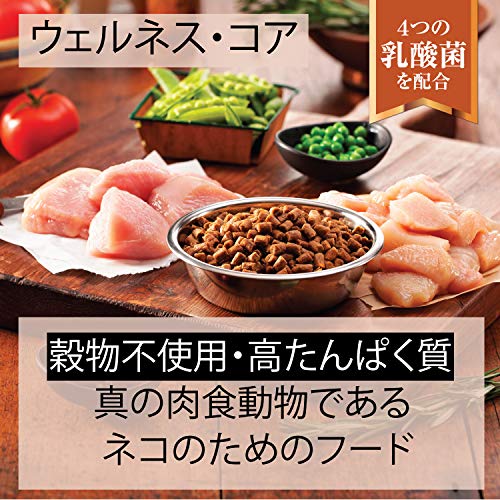 ウェルネスコア（高たんぱく質・穀物不使用）子猫用（離乳期～1歳） 骨抜き七面鳥 2