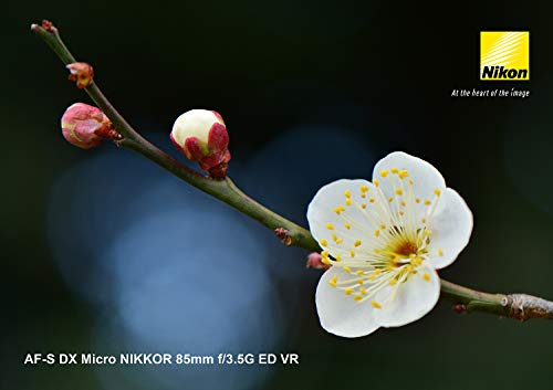 AF-S DX Micro NIKKOR 85mm f/3.5G ED VR 3