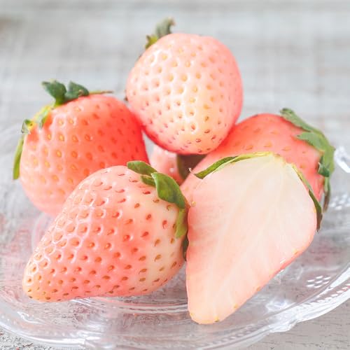 いちご苗 桃薫 1
