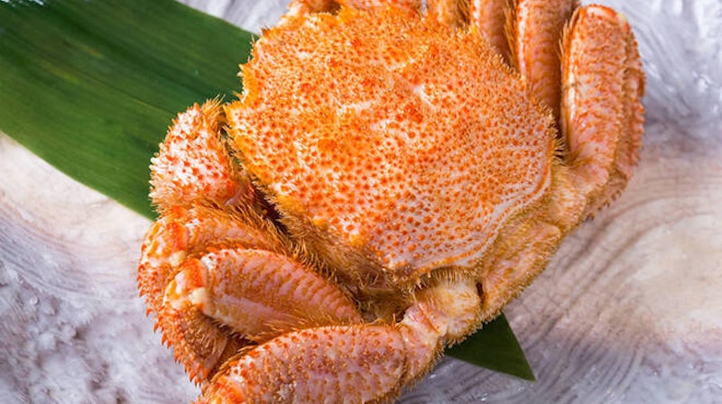 まるごと北海道 浅草店 3