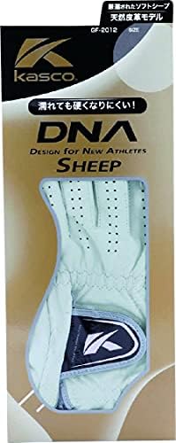 DNA SHEEP 2