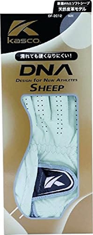 DNA SHEEP 2