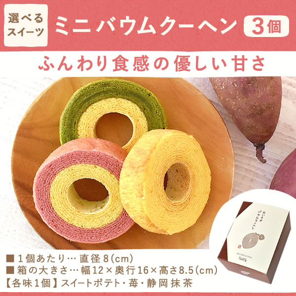 カーネーション鉢植え　スイーツセット 11