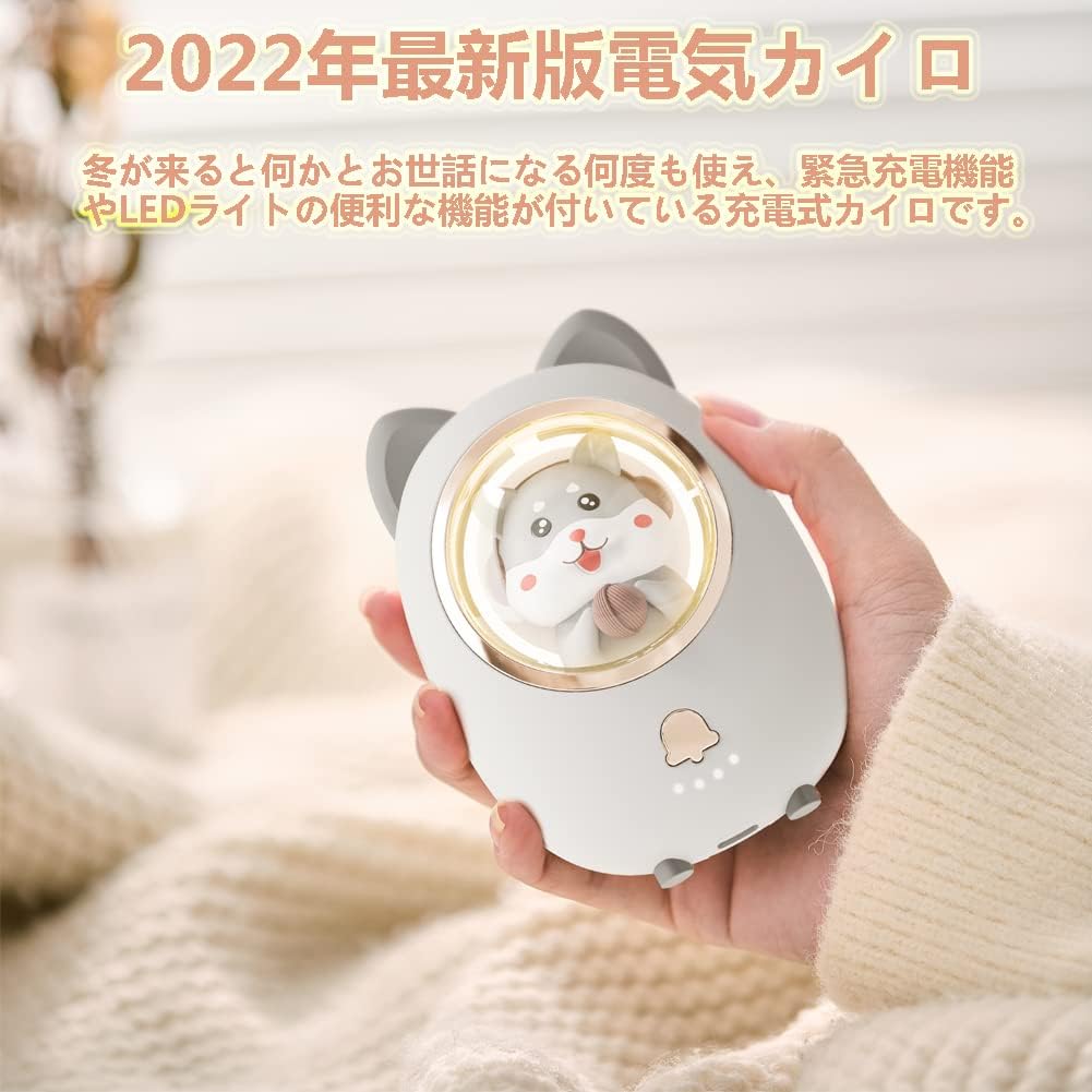 充電式カイロ 2