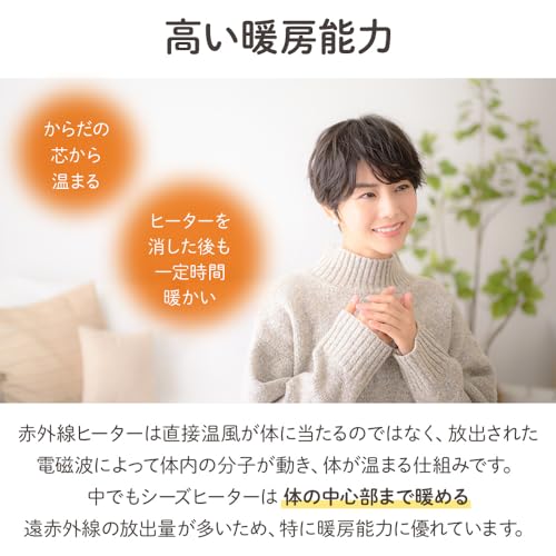 シーズヒーター 2