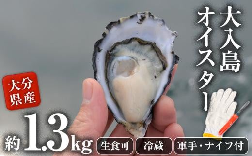 真ガキ 大入島オイスター 1