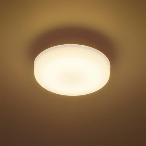 LEDミニシーリングライト 4
