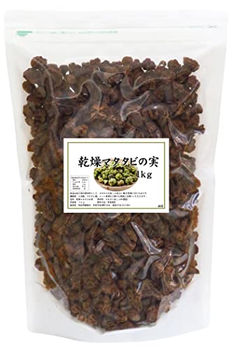 マタタビの実 1