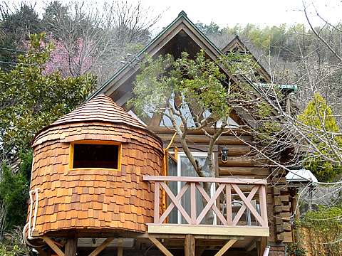 離れのやど 星ヶ山 6