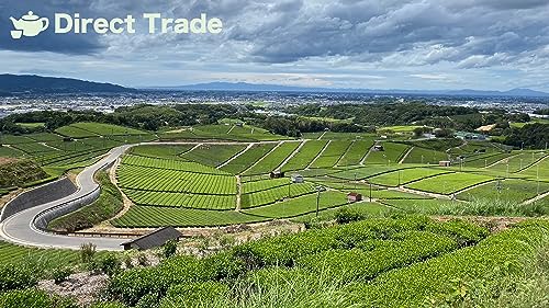 八女茶 天雫の匠  7