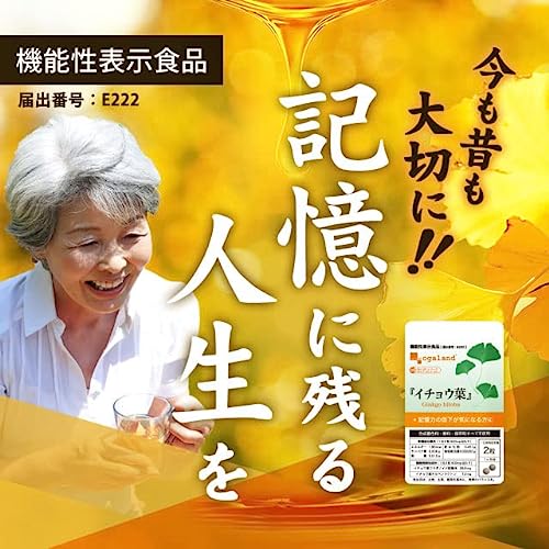 イチョウ葉 2