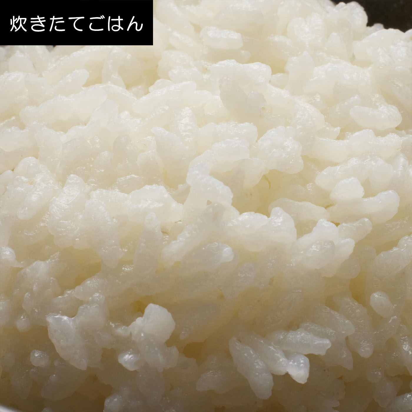 可変圧力IHジャー炊飯器 9