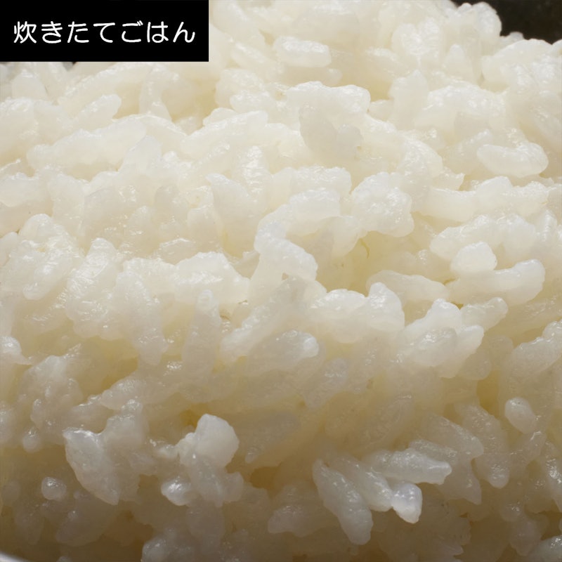 可変圧力IHジャー炊飯器 9