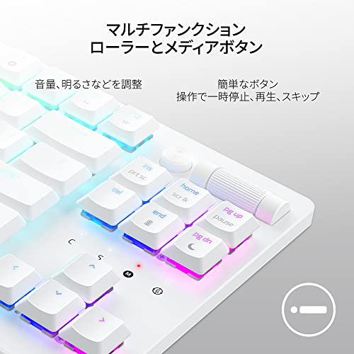 DeathStalker V2 Pro Tenkeyless 7